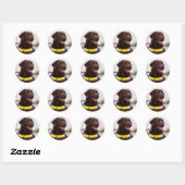 Sticker Rond Chocolate Labrador Guide Dog Graduation  (Feuille)