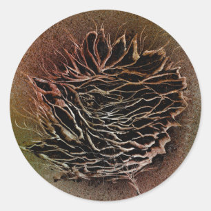 Sticker Rond Choix de pomme de pin en marron