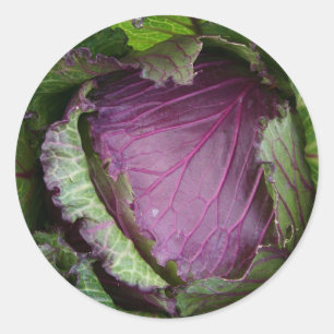 Sticker Rond Chou frais