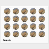 Sticker Rond chouette (Feuille)
