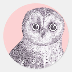 Sticker Rond Chouette adorable - Chouette tachetée ou barrée