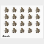 Sticker Rond Chouette Brown (Feuille)