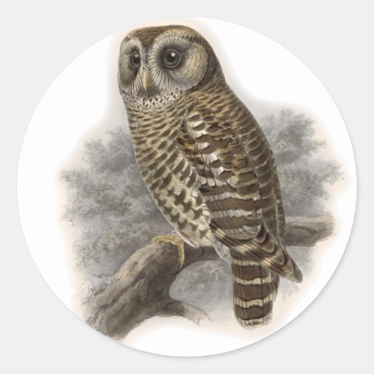 Sticker Rond Chouette Brown (Devant)