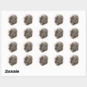 Sticker Rond Chouette Brown (Feuille)