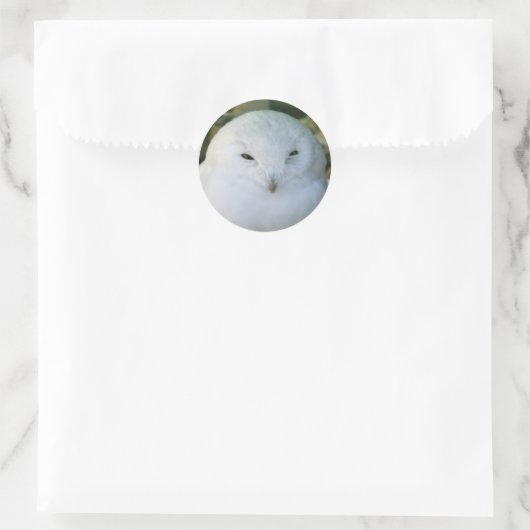 Sticker Rond Chouette des neiges (Sac)