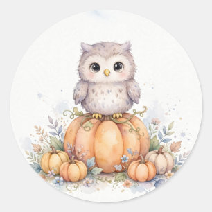 Sticker Rond Chouette mignonne dans un champ de citrouilles Hal