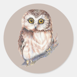 Sticker Rond Chouette mignonne, oiseau à l'aquarelle nature,