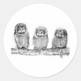 Sticker Rond Chouettes_Bébé