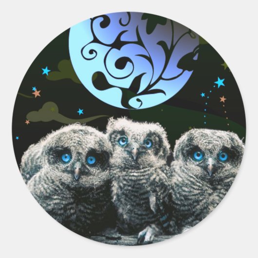 Sticker Rond Chouettes Pour Bébés Sous Le Feu De La Lune (Devant)