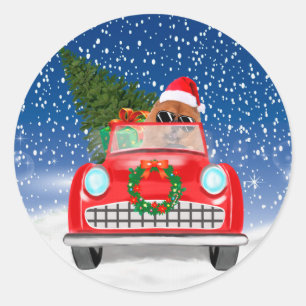 Sticker Rond Chow Chow Chien Conduisant Voiture En Neige