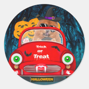 Sticker Rond Chow Chow Chig Conduire voiture effrayant Hallowee