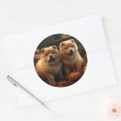 Sticker Rond Chow Chow Chiot Automne Citrouille de plaisir (Enveloppe)