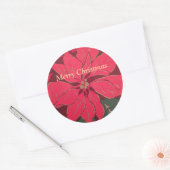 Sticker Rond Christmas Poinsettia - (Enveloppe)