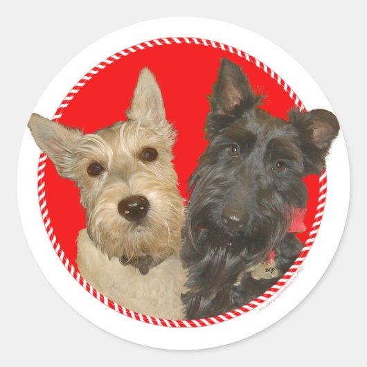 Sticker Rond Christmas Wheaten & Black Scotties (Devant)