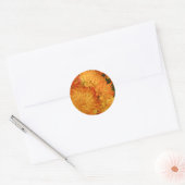 Sticker Rond Chrysanthèmes orange Fire (Enveloppe)