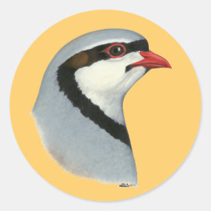 Sticker Rond Chukar : tête de perdrix