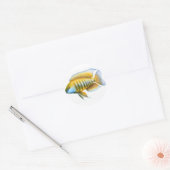 Sticker Rond Cichlid africain de paon d'Aulonocara (Enveloppe)