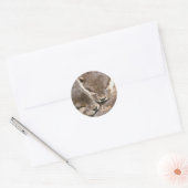 Sticker Rond Citation d'amour - Otters (Enveloppe)