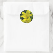 Sticker Rond Citron Daylily [Sceau rond] (Sac)