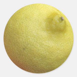 Sticker Rond Citron de Meyer
