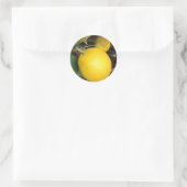 Sticker Rond Citron jaune (Sac)