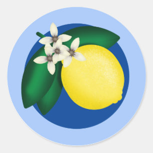 Sticker Rond Citron KiniArt