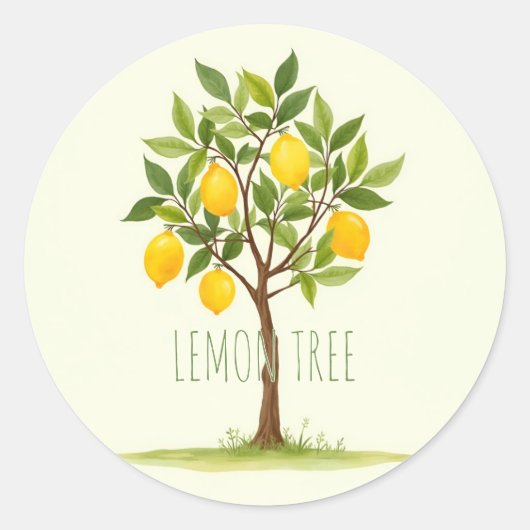 Sticker Rond Citronnier (Devant)