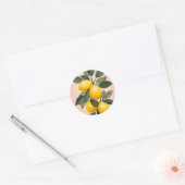 Sticker Rond Citrons d'or sur vert (Enveloppe)