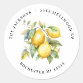 Sticker Rond Citrons et Branche Adresse de retour Classic Round (Devant)