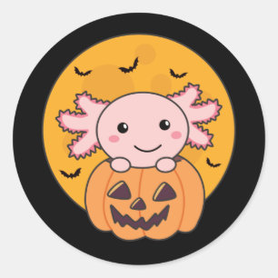 Sticker Rond Citrouille Axolotl Amateurs De Beaux Animaux Pour 