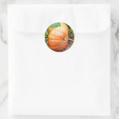 Sticker Rond Citrouille de Cendrillon orange (Sac)