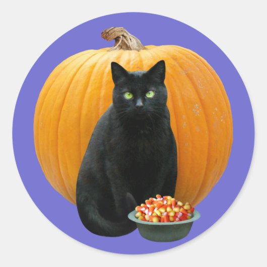 Sticker Rond Citrouille de chat noir (Devant)