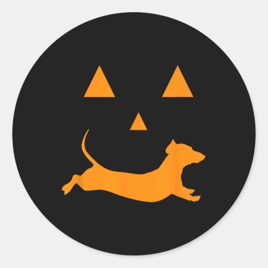 Sticker Rond Citrouille d'Halloween Dachshund Jack-o-lantern Co (Devant)