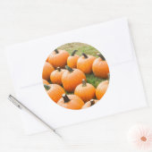 Sticker Rond Citrouilles à vendre sur un marché agricole (Enveloppe)