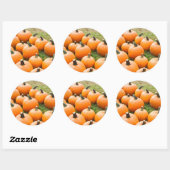 Sticker Rond Citrouilles à vendre sur un marché agricole (Feuille)