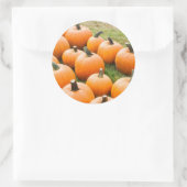 Sticker Rond Citrouilles à vendre sur un marché agricole (Sac)