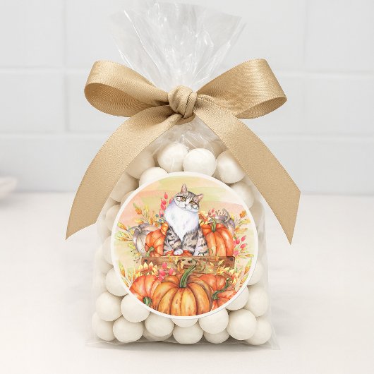 Sticker Rond Citrouilles de chat Automne Orange Blanc