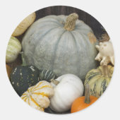Sticker Rond Citrouilles de récolte colorés (Devant)