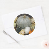 Sticker Rond Citrouilles de récolte colorés (Enveloppe)