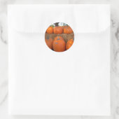 Sticker Rond Citrouilles d'Halloween (Sac)