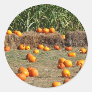 Sticker Rond Citrouilles, maïs et foin Photographie de la récol