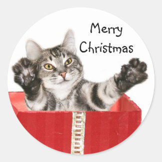 Sticker Rond Citty Christmas câlin