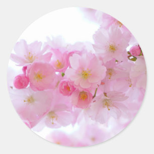 Sticker rond classique