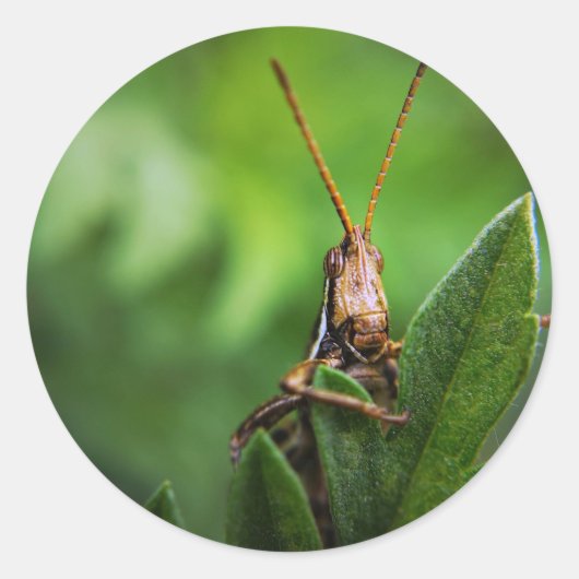 Sticker rond classique (Devant)