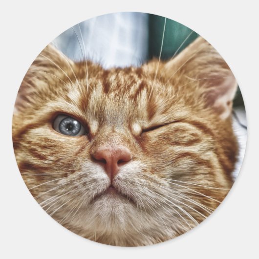 Sticker rond classique (Devant)