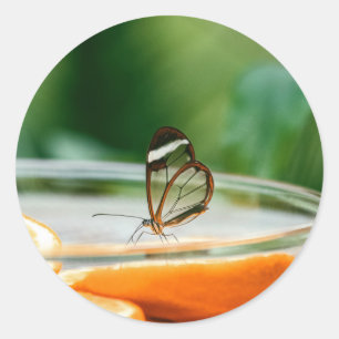 Sticker rond classique