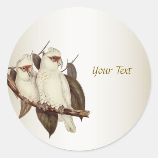 Sticker rond classique aux oiseaux blancs (Devant)
