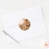 Sticker rond classique chat mignon, brillant (Enveloppe)