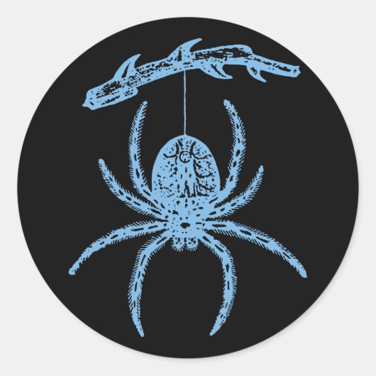 Sticker rond classique Dainty Blue Spider (Devant)