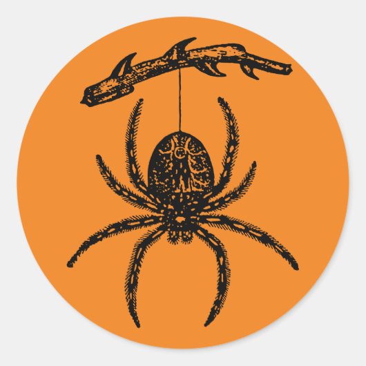 Sticker rond classique de l'Araignée orange d'Hall (Devant)